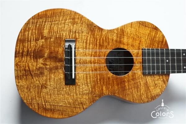 ECO-C+ - Koa